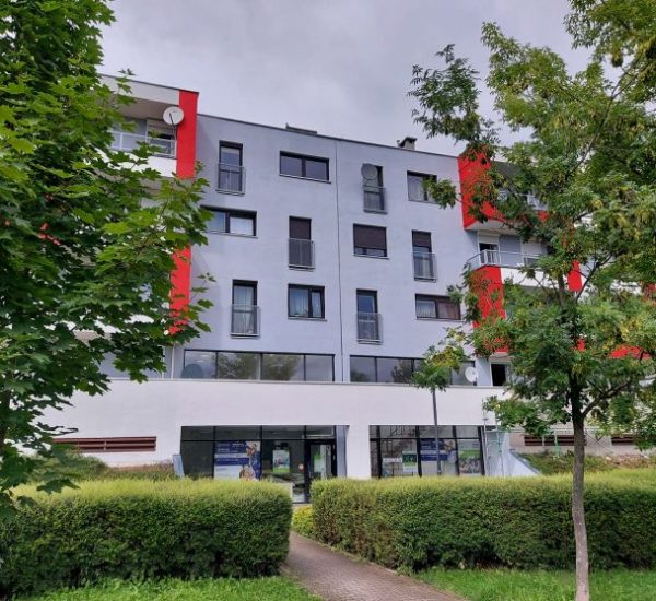 234700219_382337079945918_6307214109076417408_n